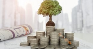 Cara Melakukan Investasi dengan Beberapa Langkah, Pemula Wajib Tahu! (futuready.com)