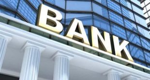 Jenis-jenis Bank di Indonesia dan Fungsinya (pinterest.id)